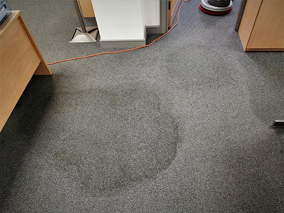 carpet-3-before