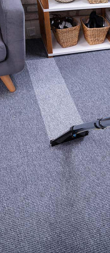 https://www.halo-clean.co.uk/wp-content/uploads/2021/02/clean-carpet-deeper.jpg
