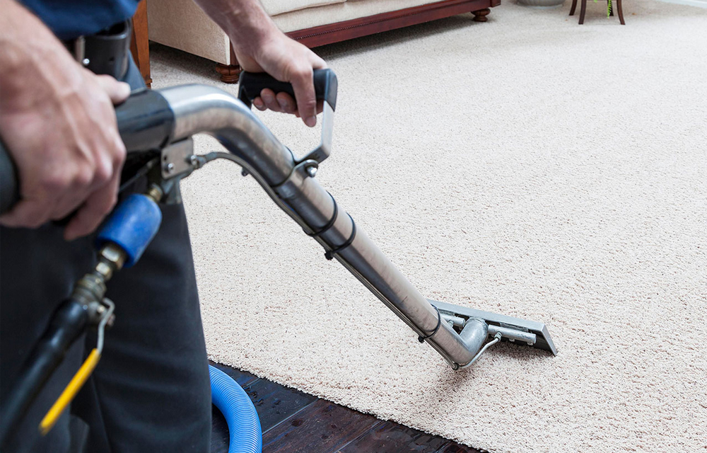 https://www.halo-clean.co.uk/wp-content/uploads/2021/06/carpet-clean-home-v2.jpg